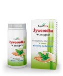 Żyworódka w zasypce 50ml