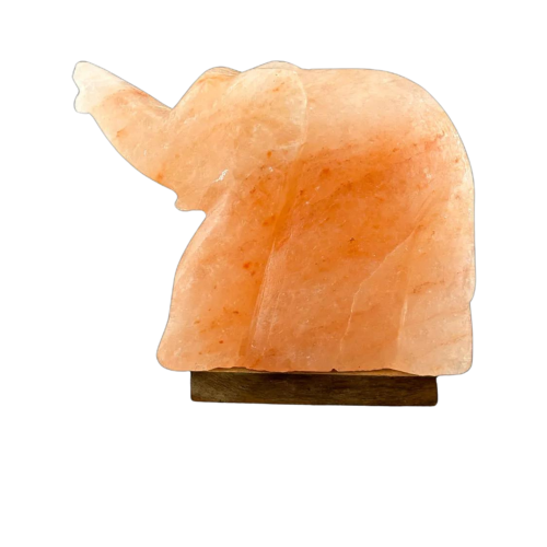 43.png